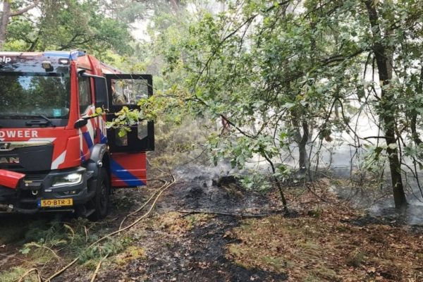 Brandweer Velp en Dieren ingezet bij grote natuurbrand Foto: Brandweer