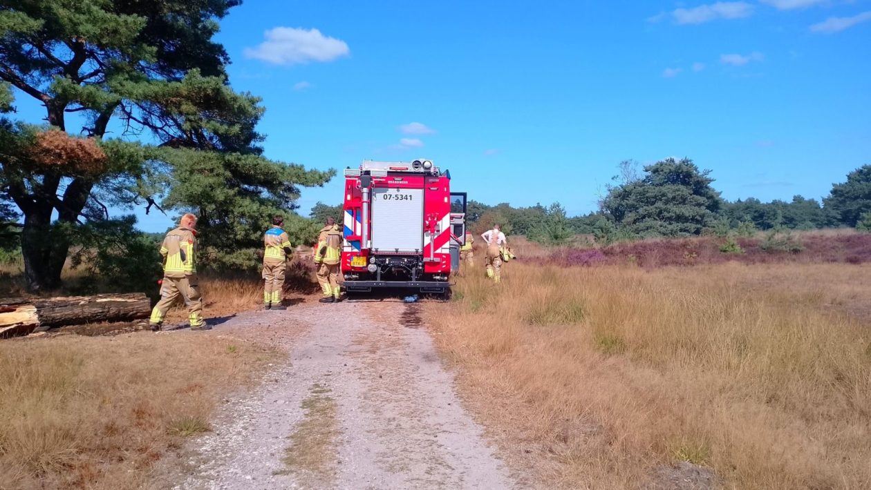 Brand in berm en struikgewas snel geblust aan Koningsweg in Rheden Foto: AS Media
