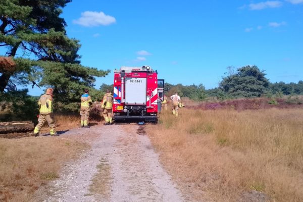 Brand in berm en struikgewas snel geblust aan Koningsweg in Rheden Foto: AS Media
