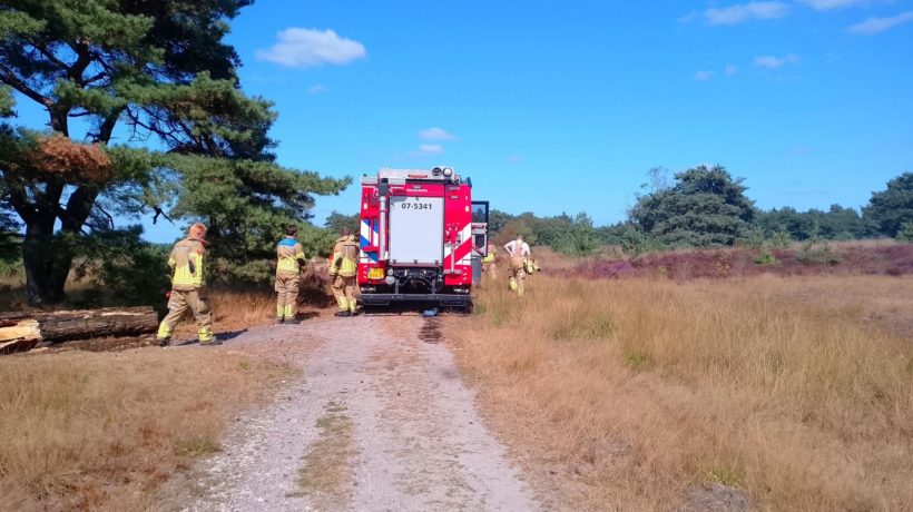 Brand in berm en struikgewas snel geblust aan Koningsweg in Rheden Foto: AS Media