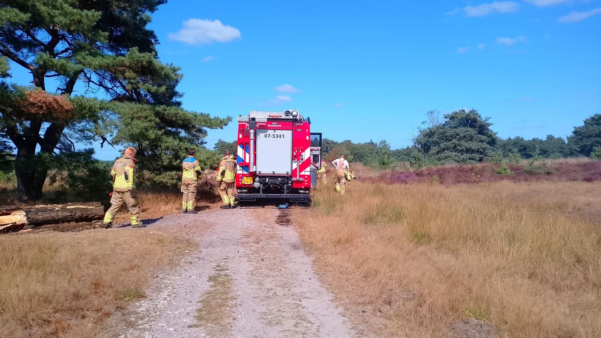 Brand in berm en struikgewas snel geblust aan Koningsweg in Rheden