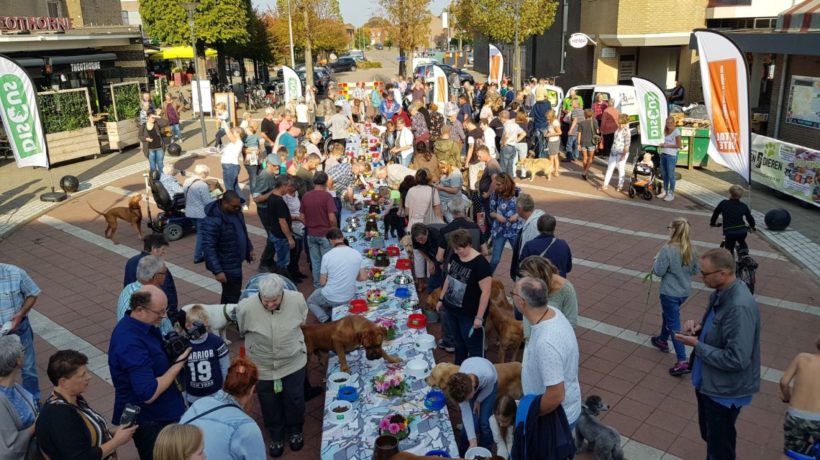 Dierendagbuffet voor huisdieren viert 21ste editie in Dieren Foto: Studio Rheden