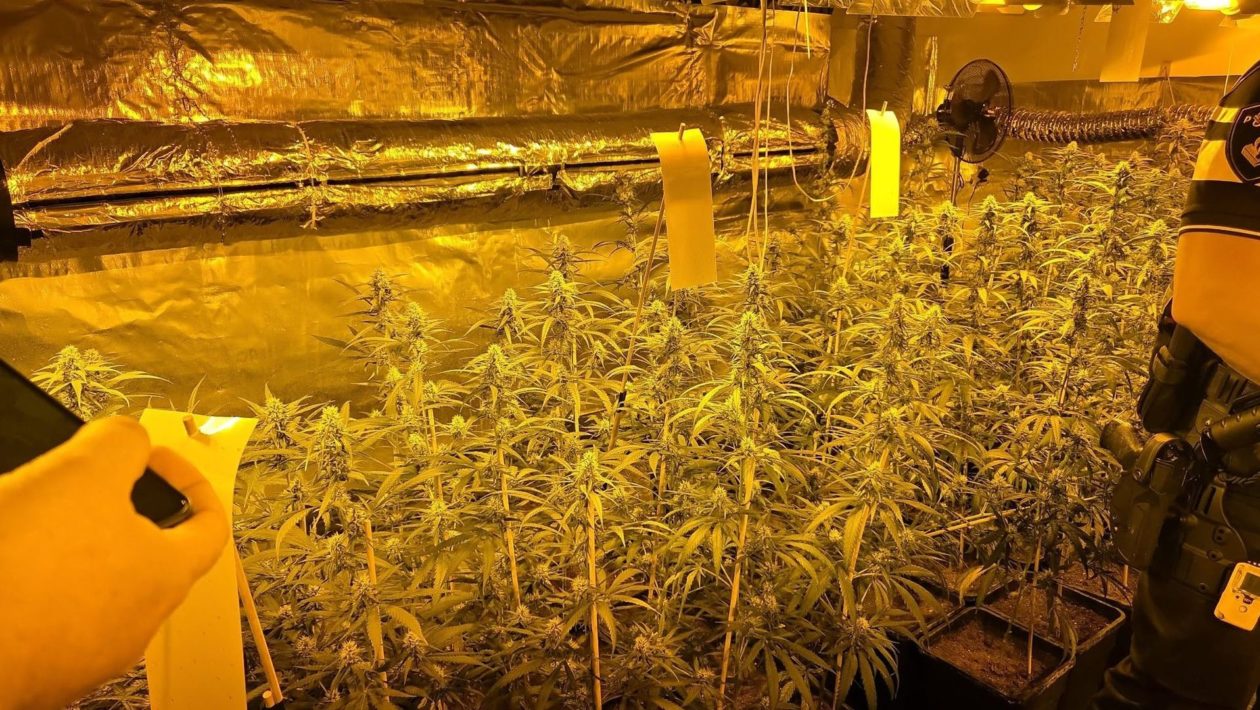Grote drugslijn in Gelderland: 17 verdachten aangehouden