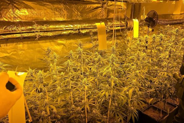 Grote drugslijn in Gelderland: 17 verdachten aangehouden