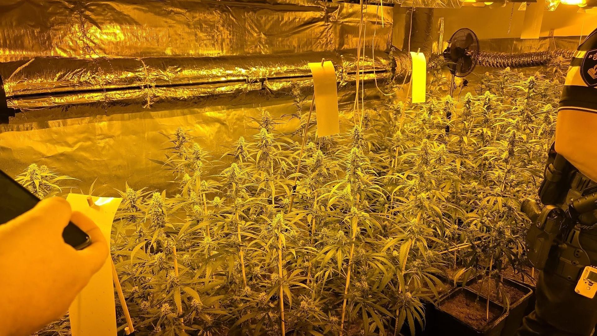 Grote drugslijn in Gelderland: 17 verdachten aangehouden, ook man uit Velp opgepakt