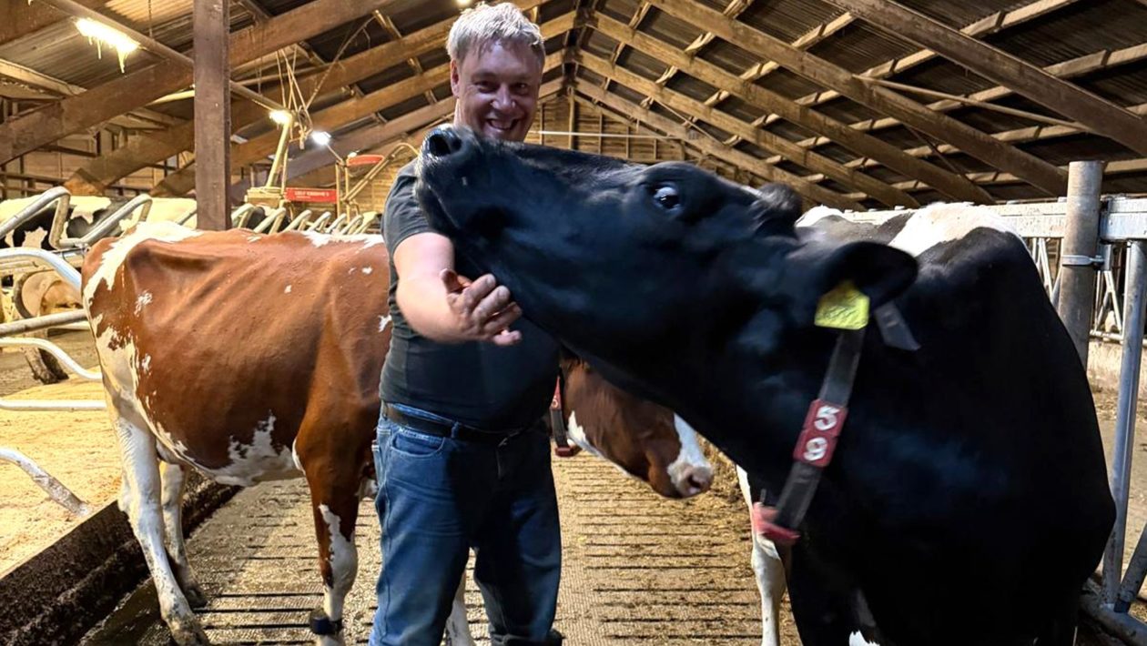 Wilco Nieuwenhuis bij melkveebedrijf De Elzenhof Foto: Wilco Nieuwenhuis