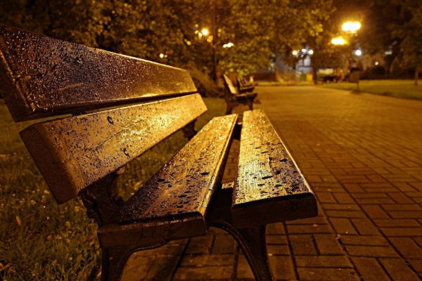 Nachtwandeling in Rozendaal Foto: Pixabay